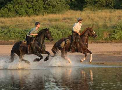 Botswana - Tuli Horse Riding Safari